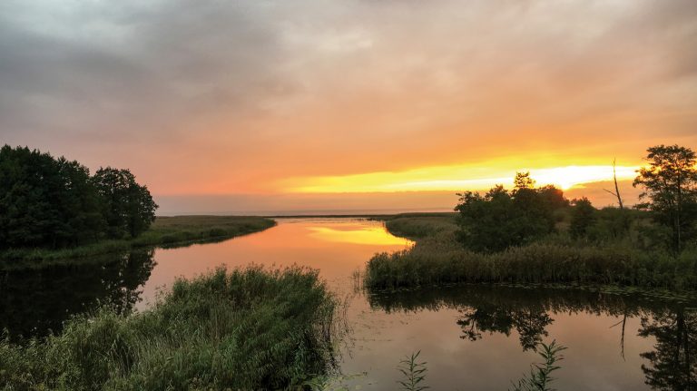 Alles fließt: Volker Koepps Dokumentarfilm „Chronos – Fluss der Zeit“ ab dem 12. März 2026 im Kino