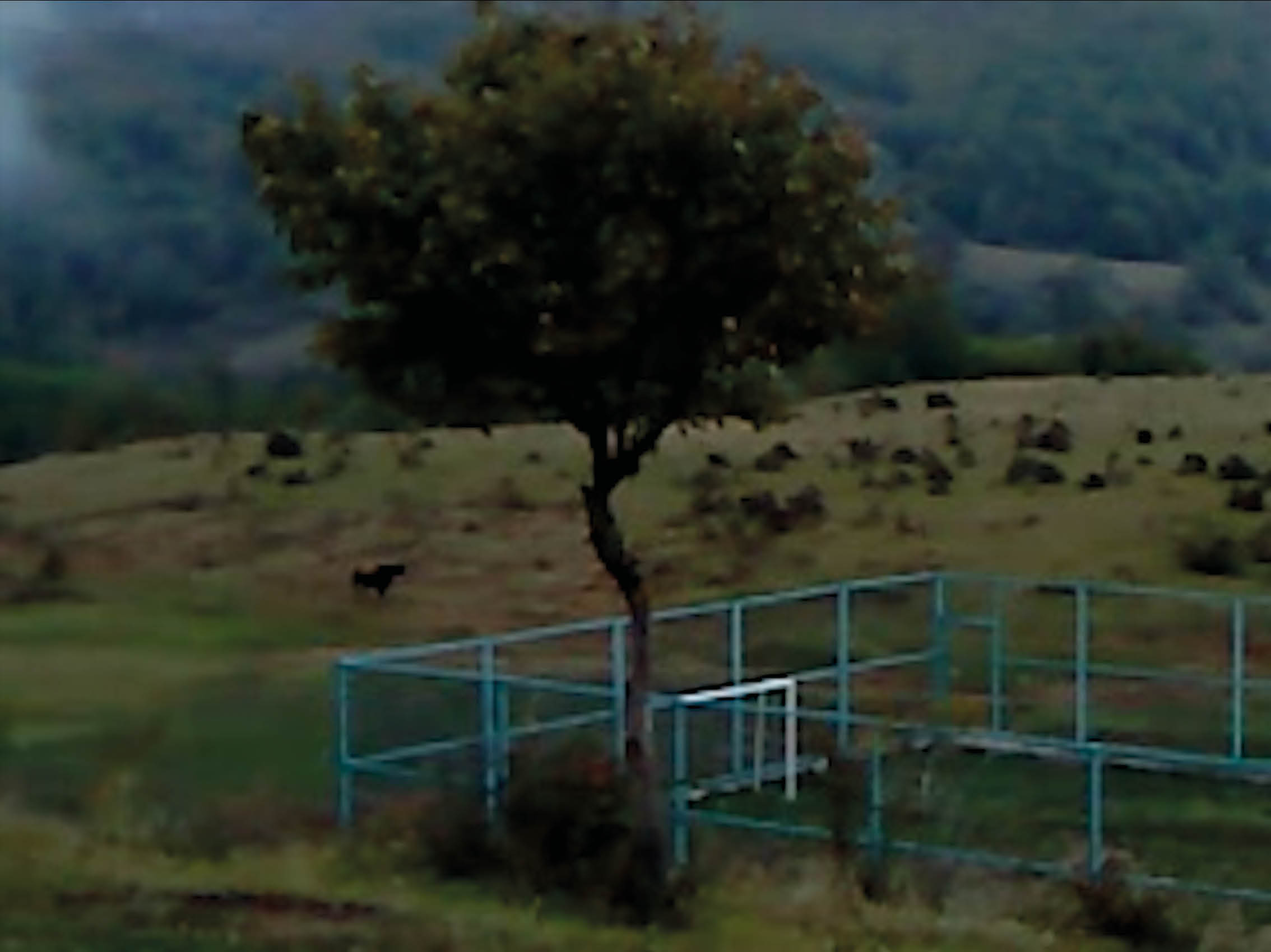 DRY LEAF von Aleksandre Koberidze ab 2. Juli 2026 im Kino